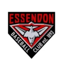 Essendon Logo